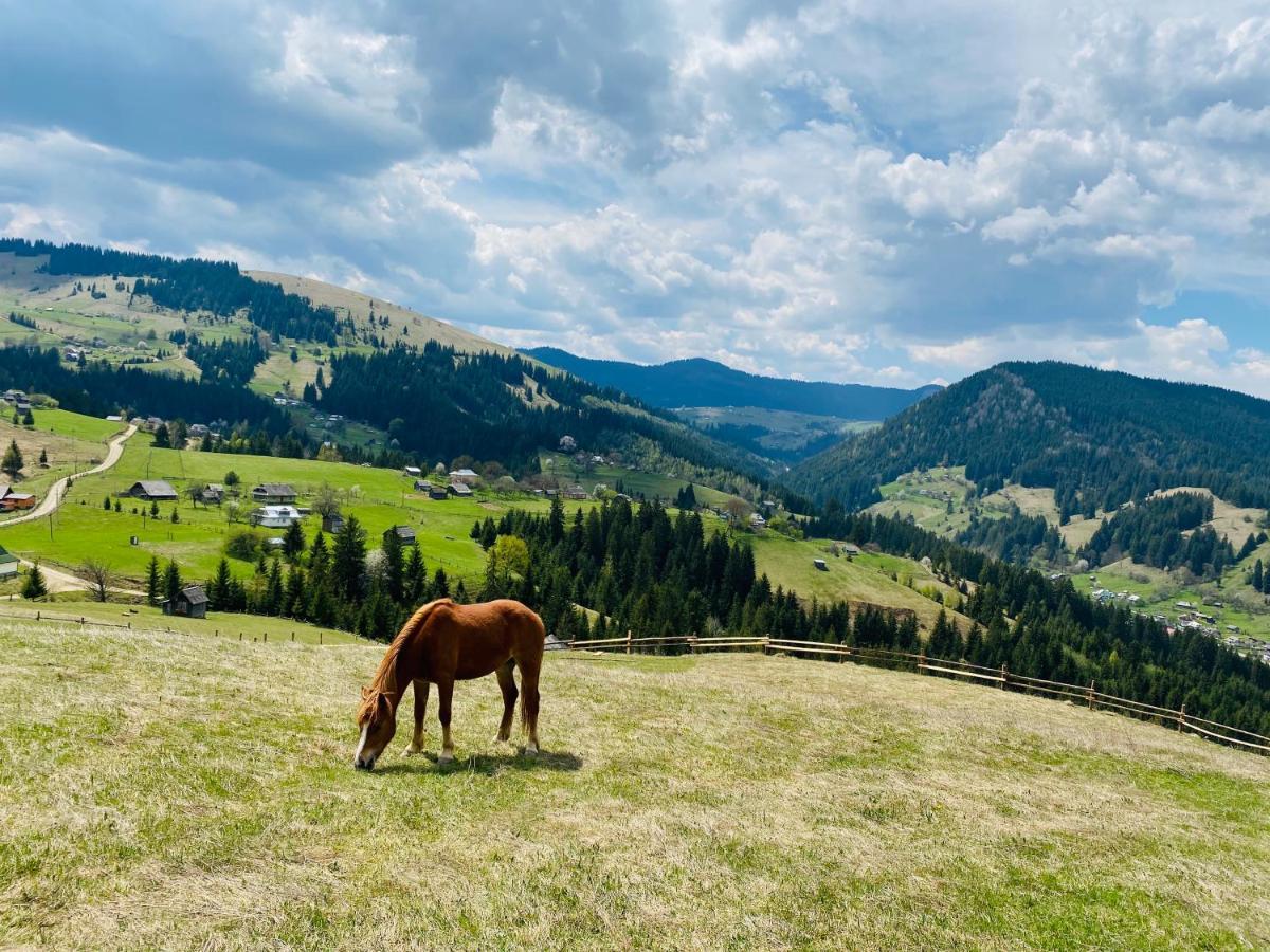 Rodynnyi Zatyshok Affittacamere Verkhovyna Esterno foto